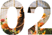 count